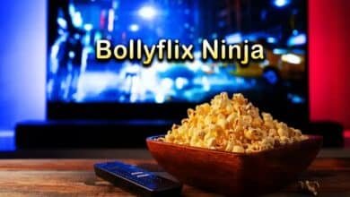 bollyflix ninja